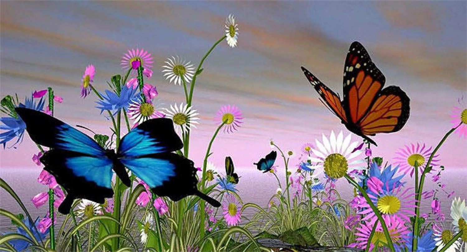 الفراشات تزاحم الجماهير واللاعبين في مباراة لكرة القدم