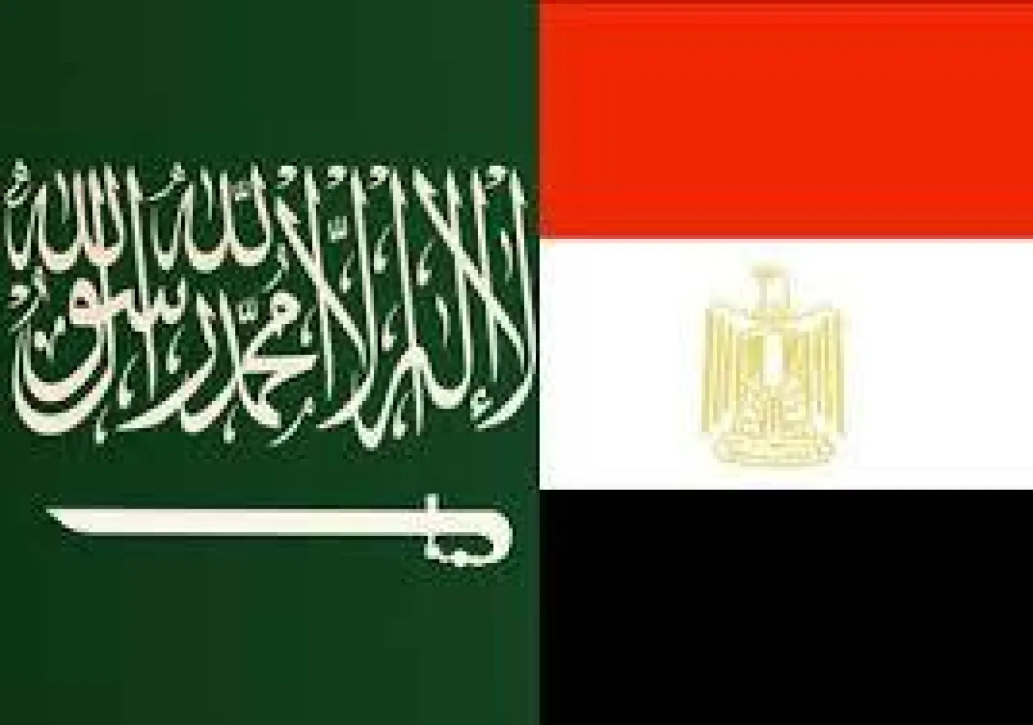 الإعلان عن أكبر مشروع طبي بمصر نهاية الشهر الحالي