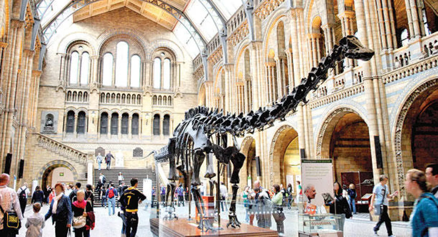 محبو الديناصور يعارضون بشدة نقله من القاعة الرئيسية في متحف لندن