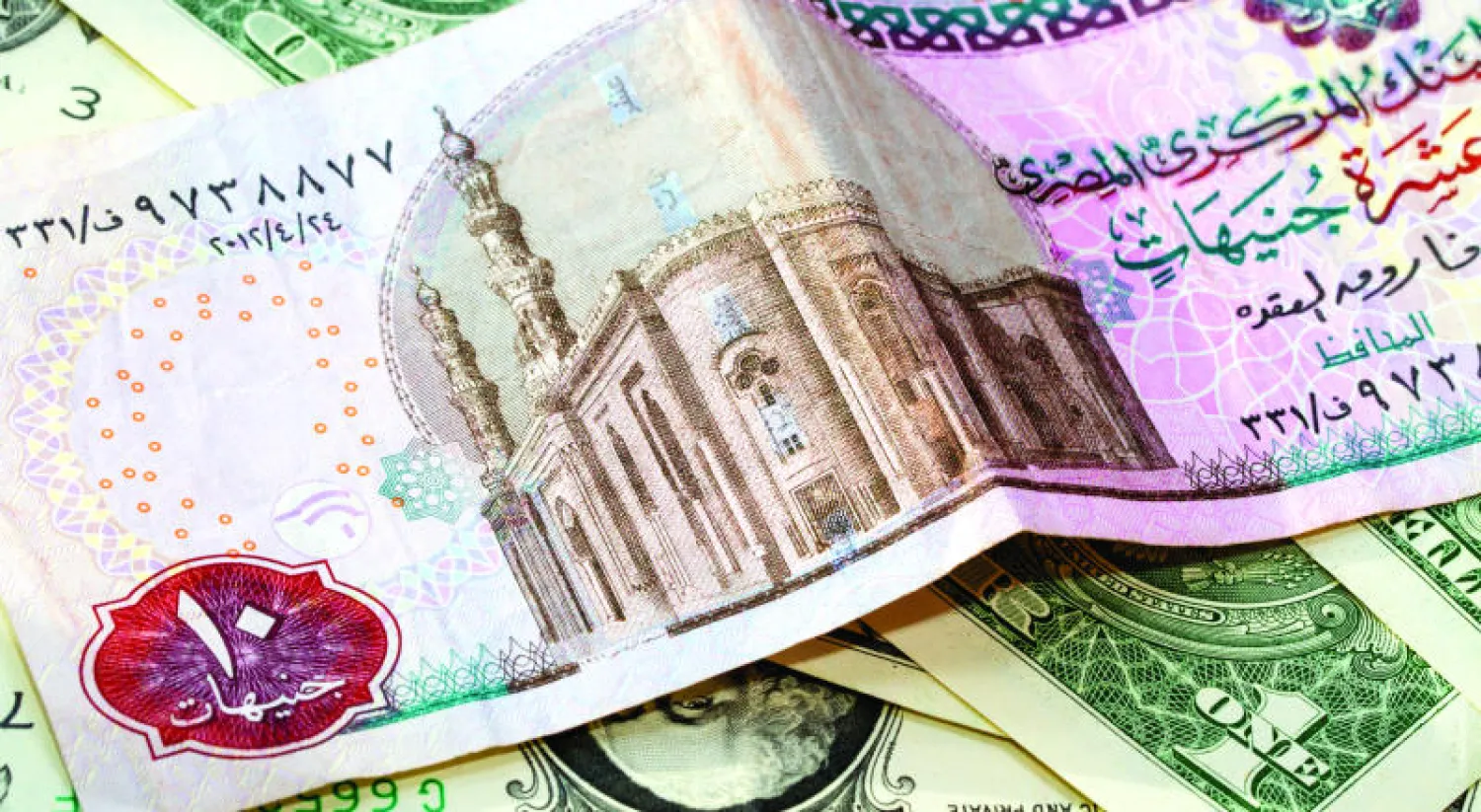 مصر تواصل تضييق الخناق على السوق السوداء للدولار وخسائر فادحة للمتعاملين