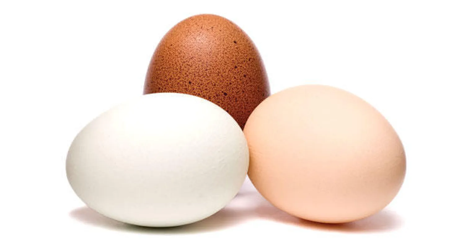 دراستان: البيض يجعل الناس أكثر كرما ويساعد في اكتشاف السرطان