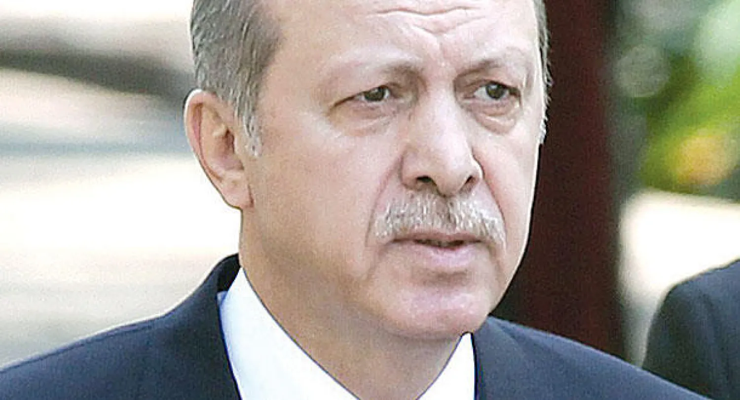 رجب طيب اردوغان (إ ب أ)