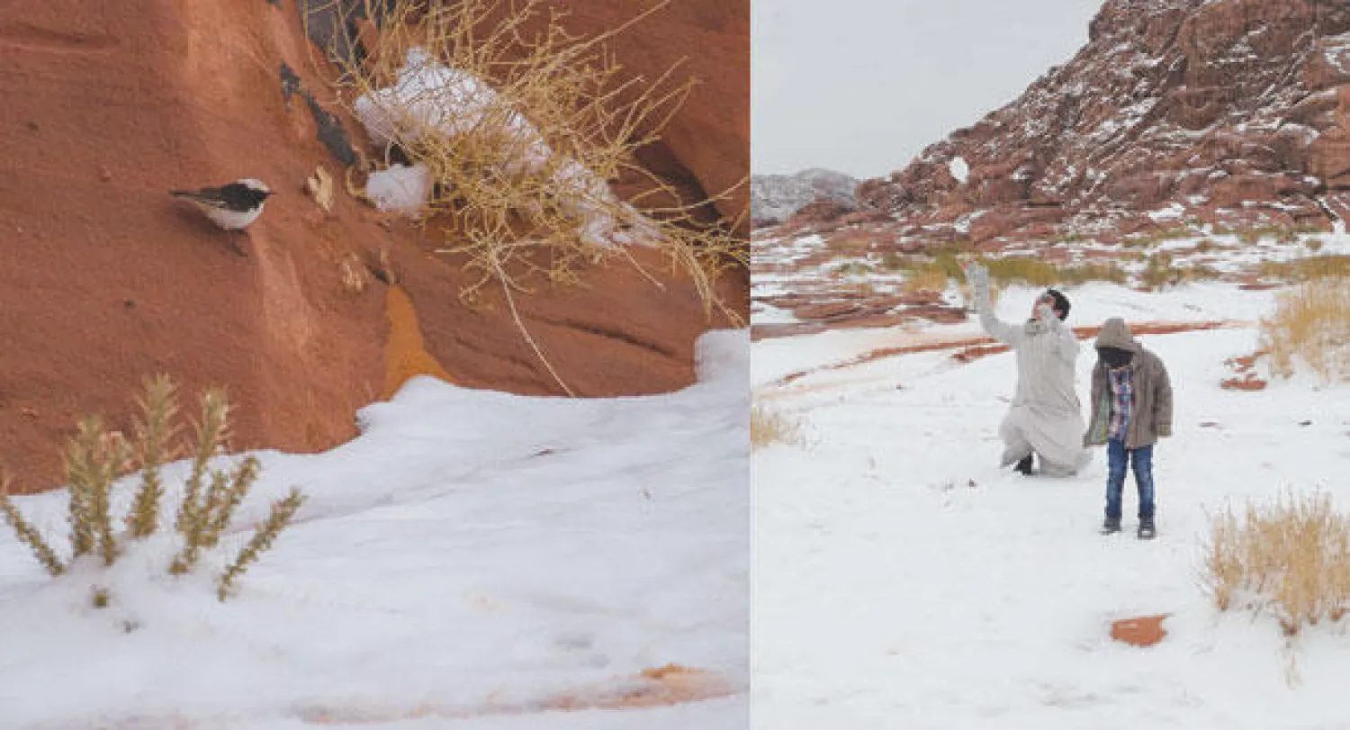 هذه الموجة من الثلوج هي الثانية في غضون شهر تقريبا  -  الأرض والجبال اكتست بحلة بديعة تعانق فيها لون الثلوج الناصع مع الجبال الداكنة