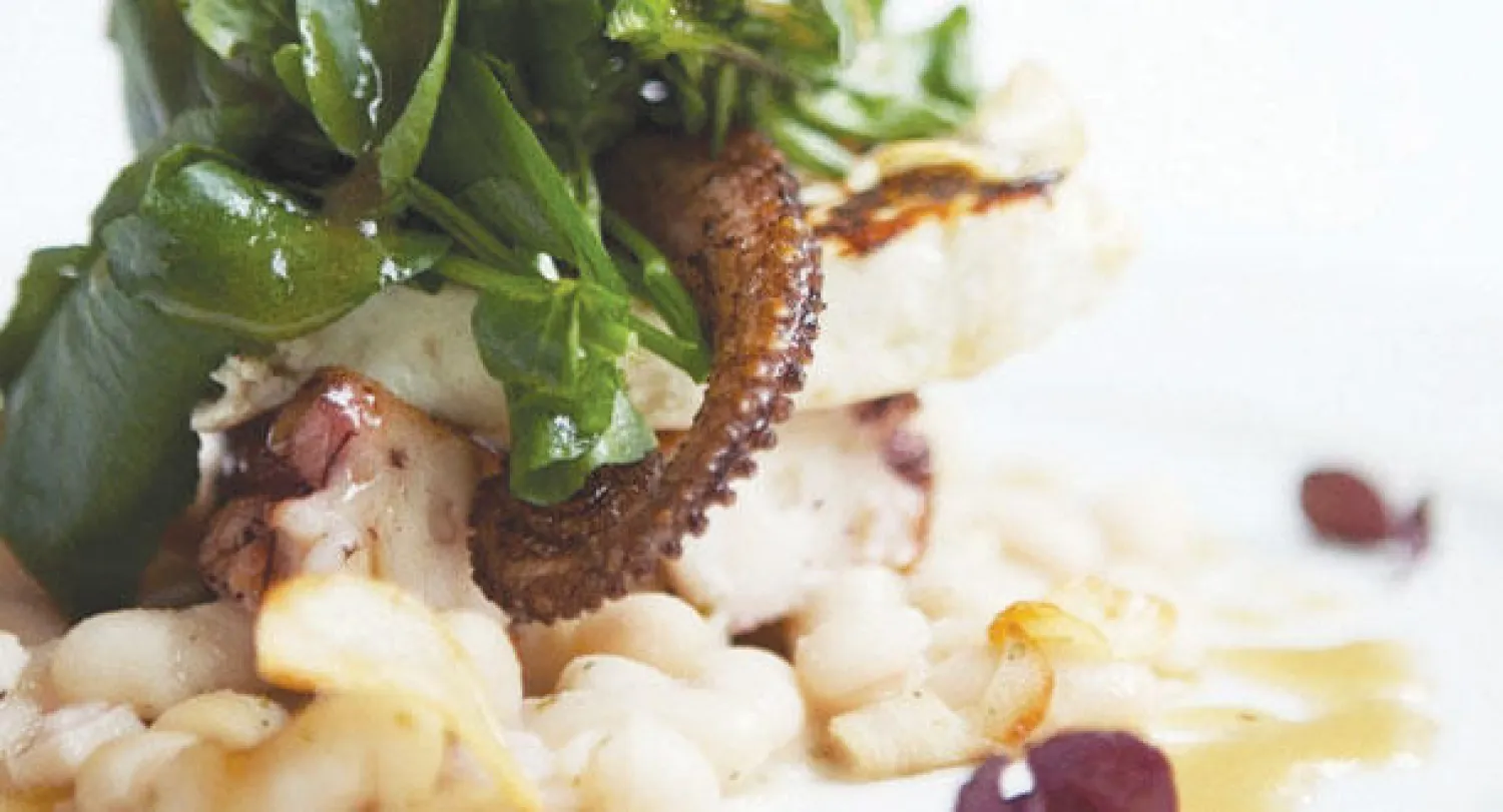 أطباق شهية بنكهة المتوسط