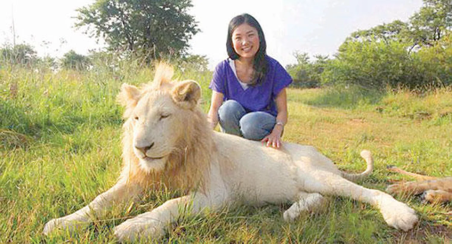 إحدى مزارع تربية الأسود في جنوب أفريقيا