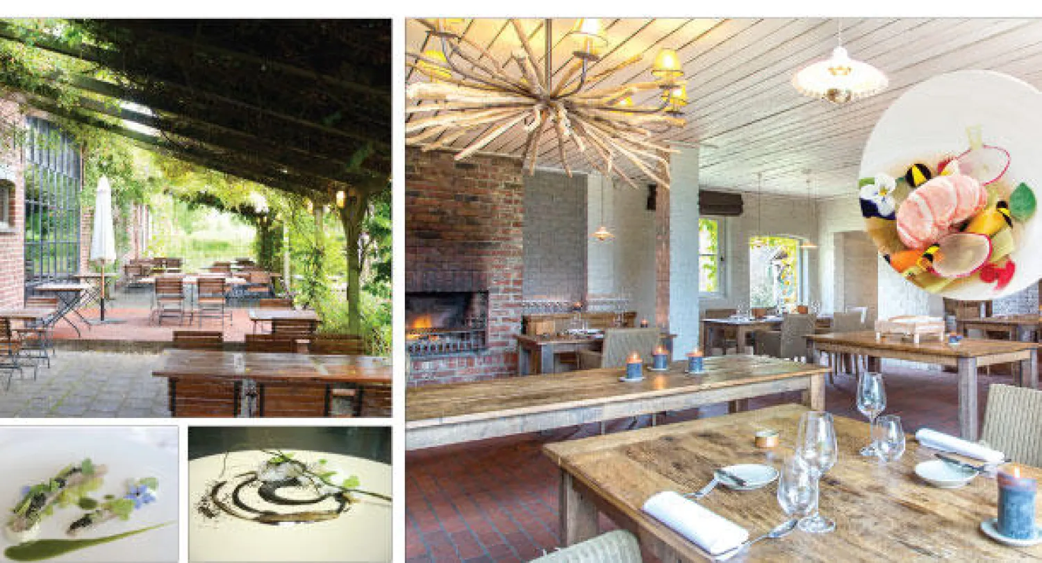 أطباق لذيذة وجميلة، المطعم الأول في أوروبا، «إن دا وولف» وجلسة في الخارج، من أطباق «إن دا وولف»، أطباق أشبه بلوحات فنية