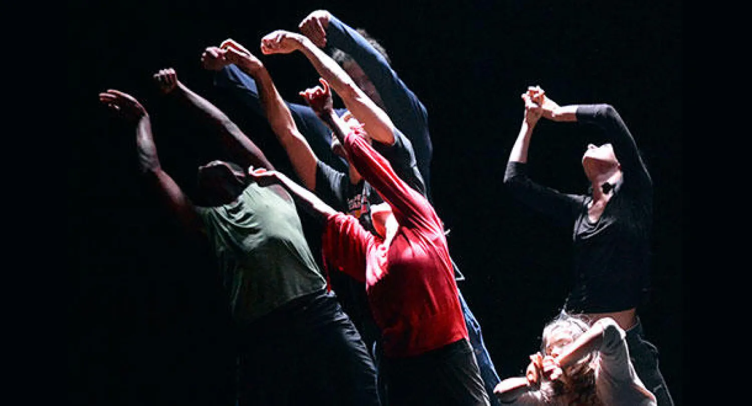 العرض السويسري طرب صوفي راقص