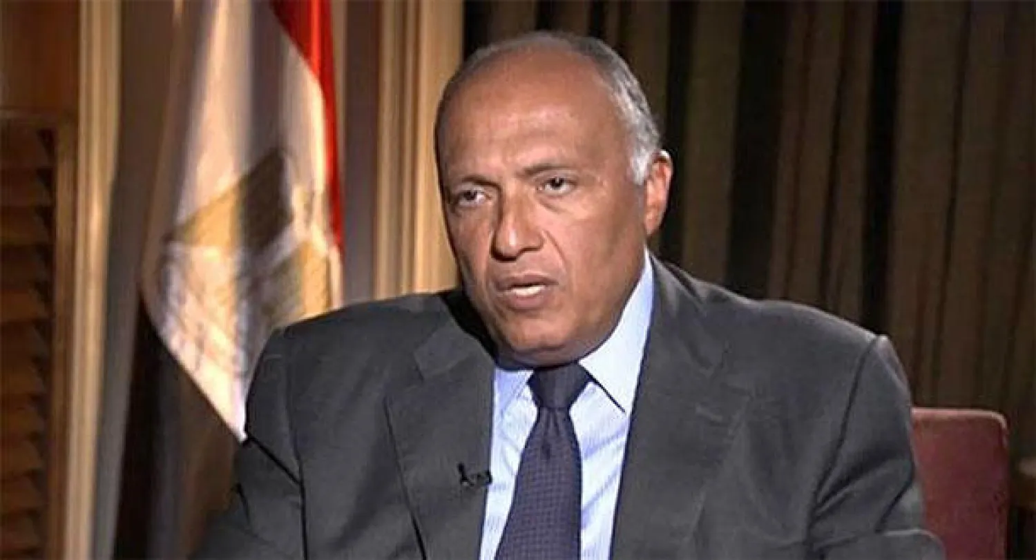 وزير الخارجية المصري يلتقي المبعوث الأميركي لشؤون التحالف الدولي ضد «داعش»