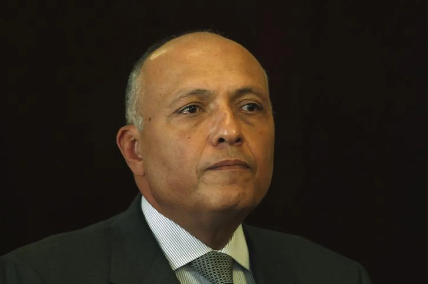 دعم دولي واسع لترشح مصر لعضوية مجلس الأمن