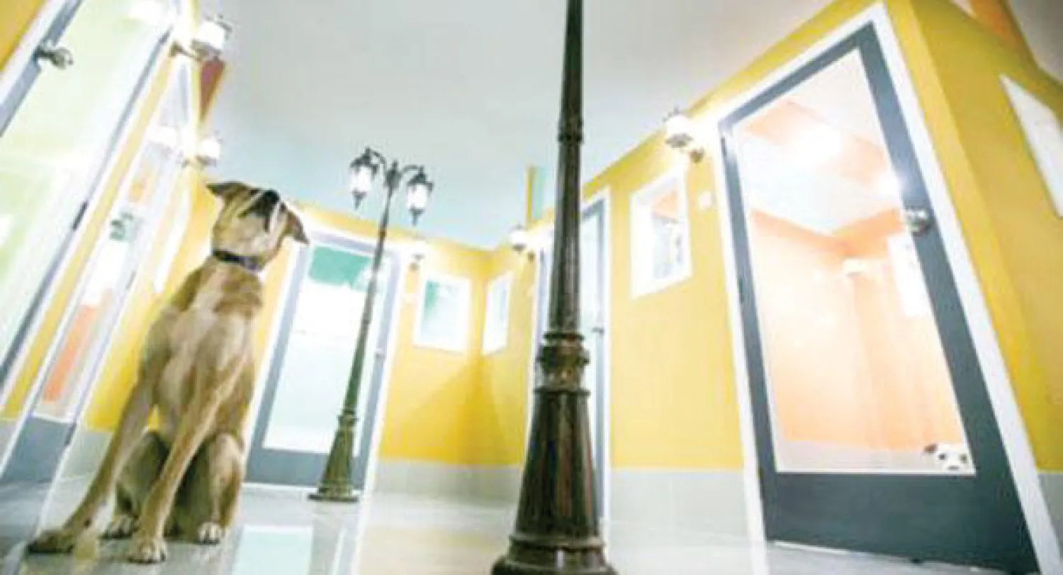 دبي تفتتح أكبر منتجع للكلاب المدللة