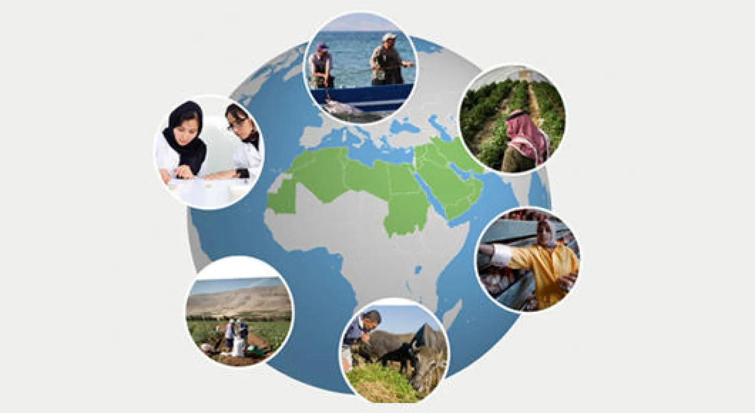 33 مليون جائع في الشرق الأدنى وشمال أفريقيا