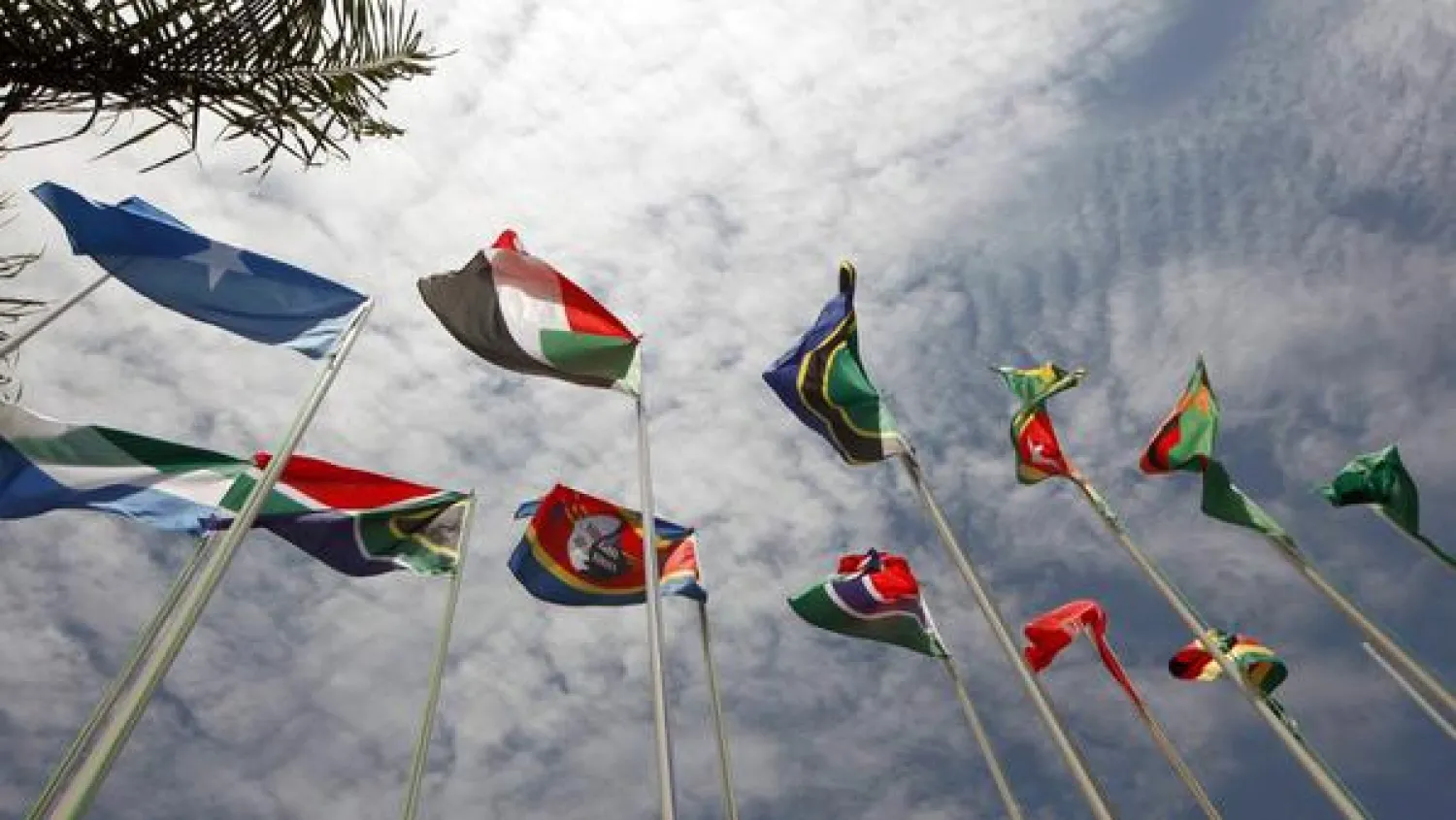 «نصف أفريقيا» تبحث عن «الرخاء» في شرم الشيخ