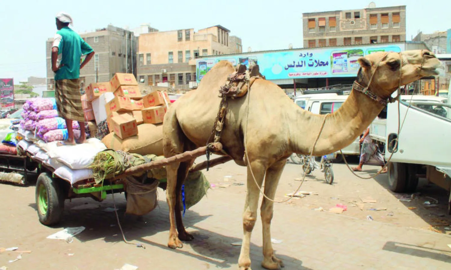يمني يقف على مقطورة يجرها جمل لنقل مواد غذائية وبيعها للمواطنين في عدن بأسعار باهظة (غيتي)