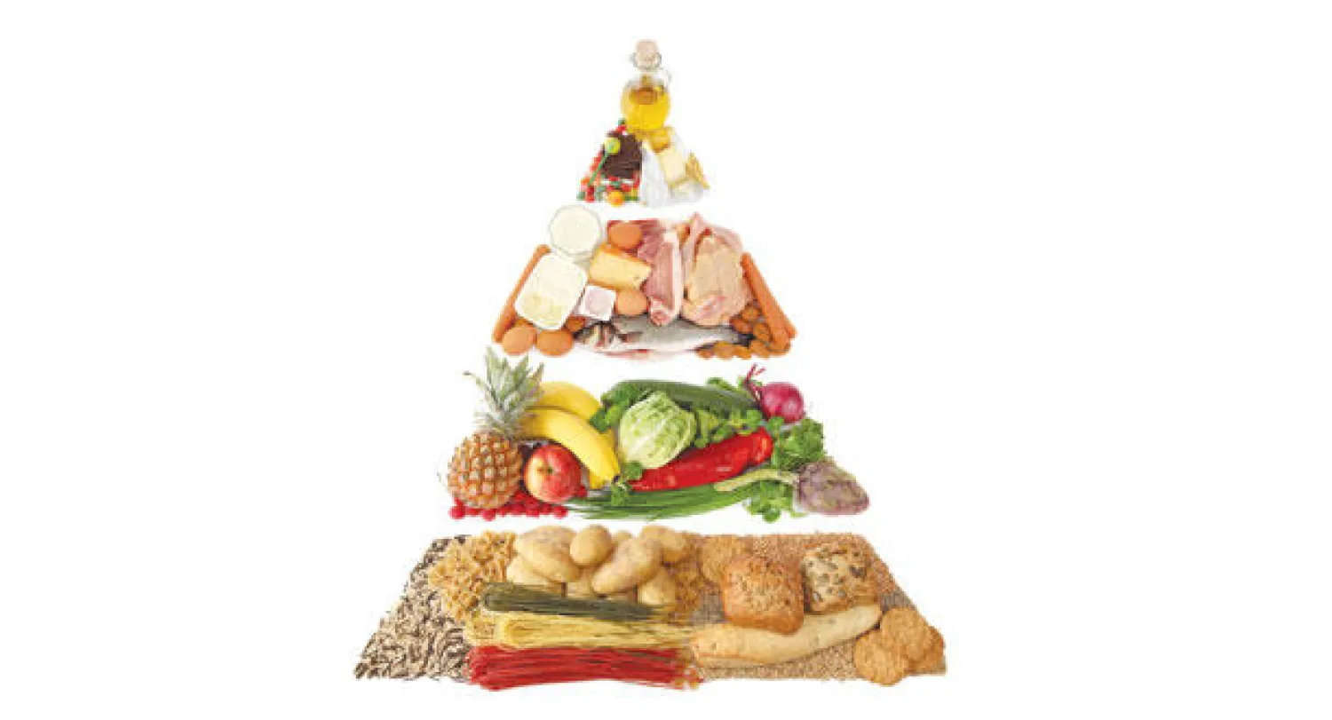 مراجعات علمية.. لإرشادات التغذية الطبية حول الدهون والكولسترول