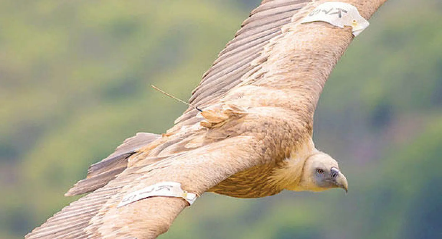 علماء الطبيعة والطيور يحمّلون في الكثير من الأحيان الطيور والحيوانات إما على ظهرها إو بين جناحيها أجهزة دقيقة وخفيفة الوزن لقياس المسافات التي تقطعها بالأخص في مواسم الهجرة ولكن أجهزة المخابرات العالمية استخدمت بعض تلك الوسائل للتجسس