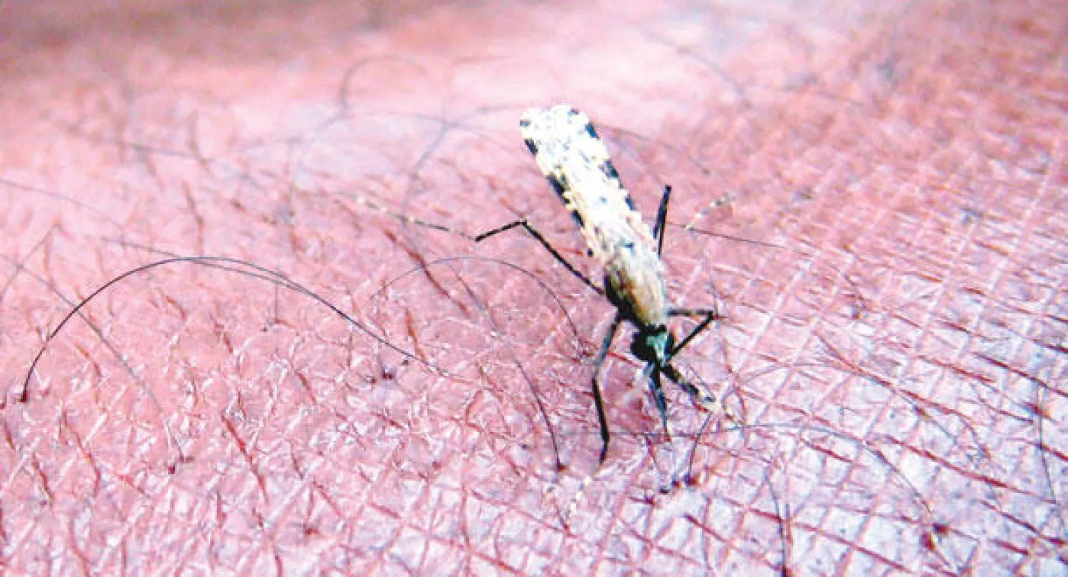 جهات رقابية أوروبية تصدق على أول لقاح لعلاج الملاريا