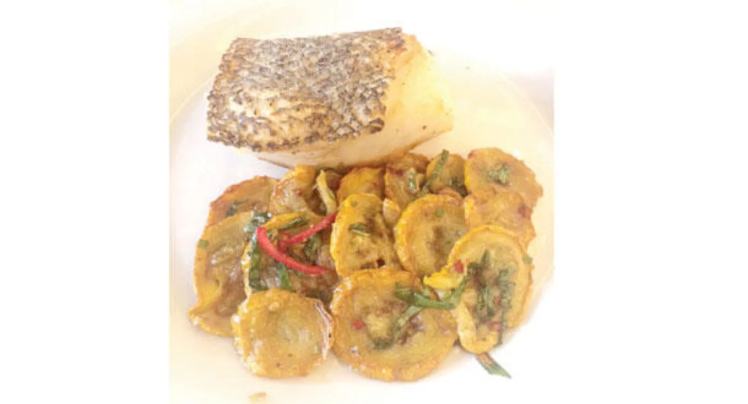 سي باس مع الكوسة