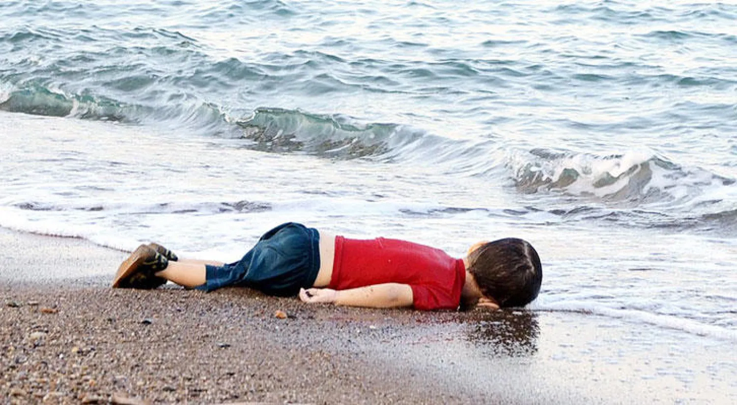 نيلوفير دمير: عندما رأيته «أصابني الجمود»