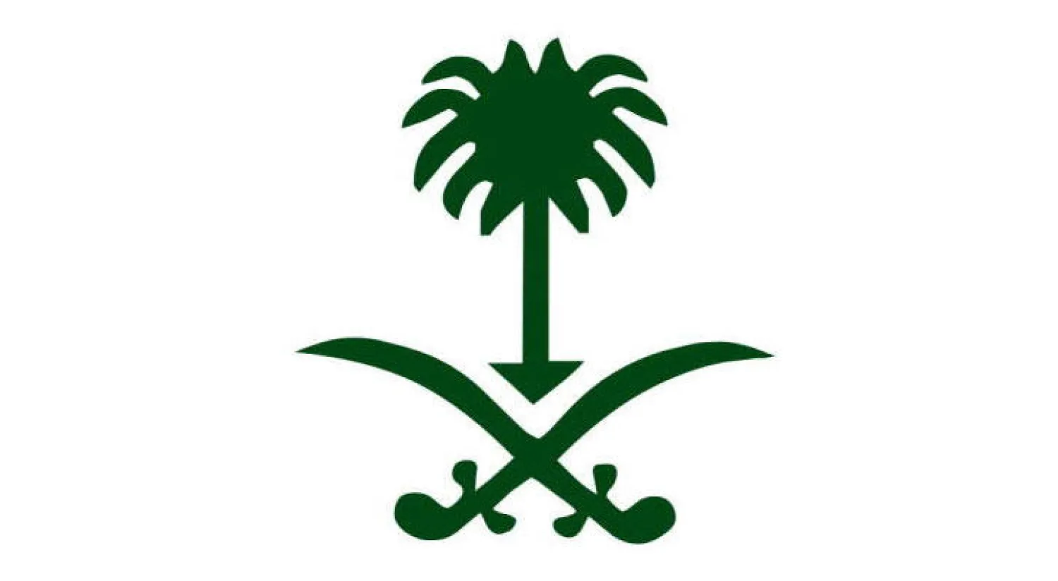 السعودية تؤكد التزامها بحماية حقوق الإنسان وترفض التدخل في الشؤون الداخلية للدول