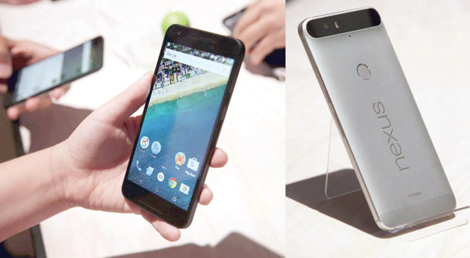 هاتف «نيكسوس 6 بي»  -  هاتف «نيكسوس 5 إكس»