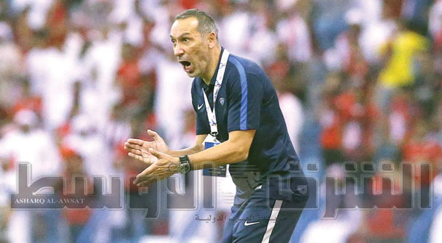 دونيس مدرب الهلال يشد من أزر لاعبيه في المباراة الآسيوية الأخيرة (تصوير: علي العريفي)