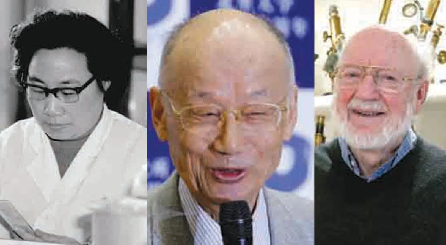 ويليام كامبل الآيرلندي الأصل  -  الياباني ساتوشي أومورا (أ.ب)  -  الصينية يويو تو (أ.ب)