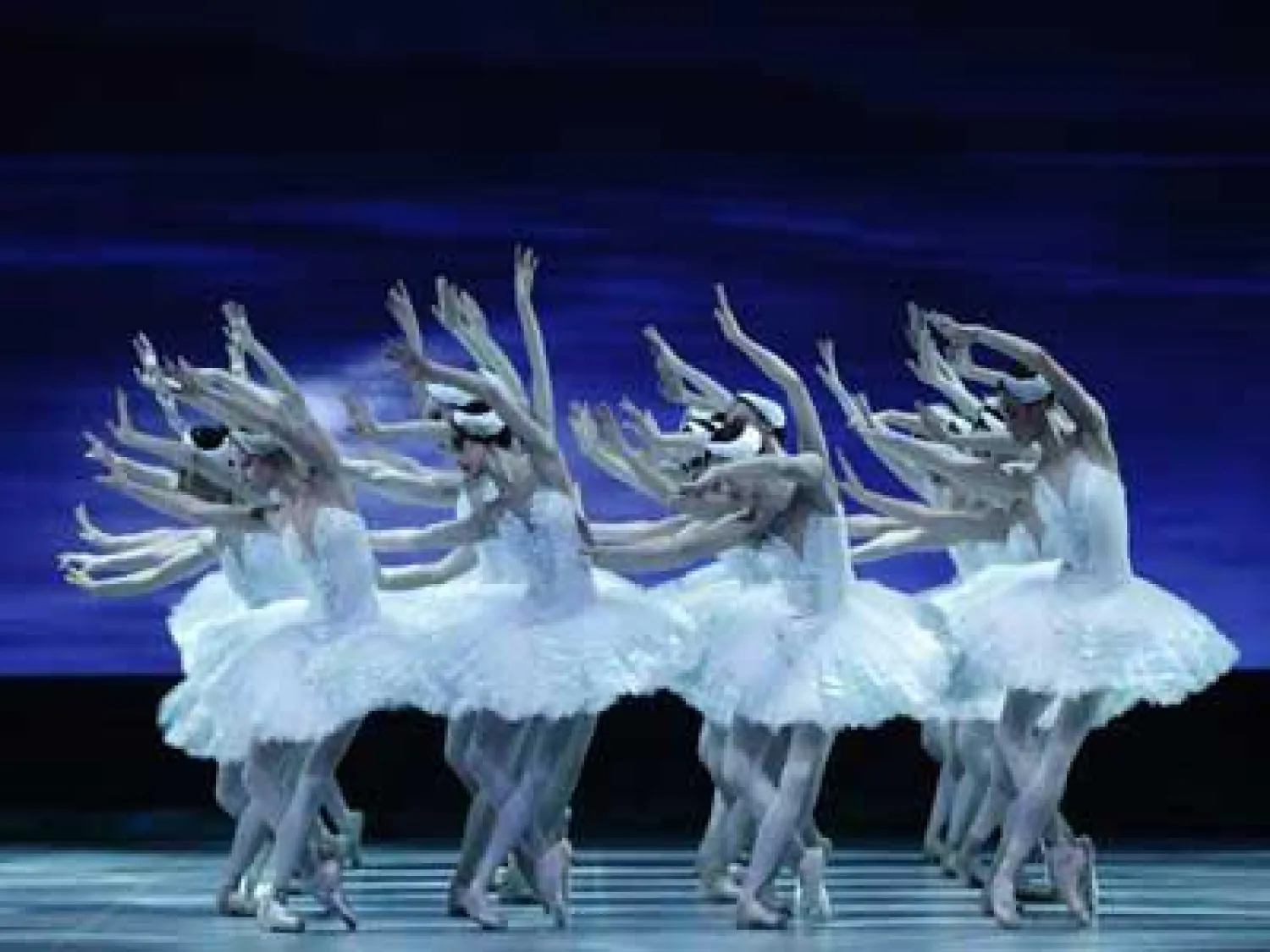 العثور على وثيقة تكشف أسرار باليه «بحيرة البجع»