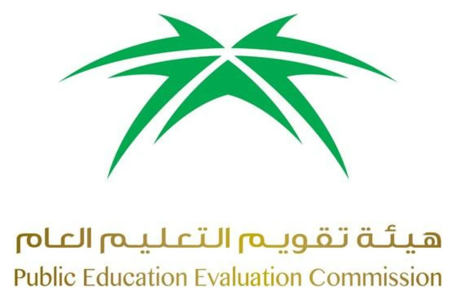 تعليم السعودية يستهدف 100 ألف من طلابها لمعرفة مستوى التحصيل