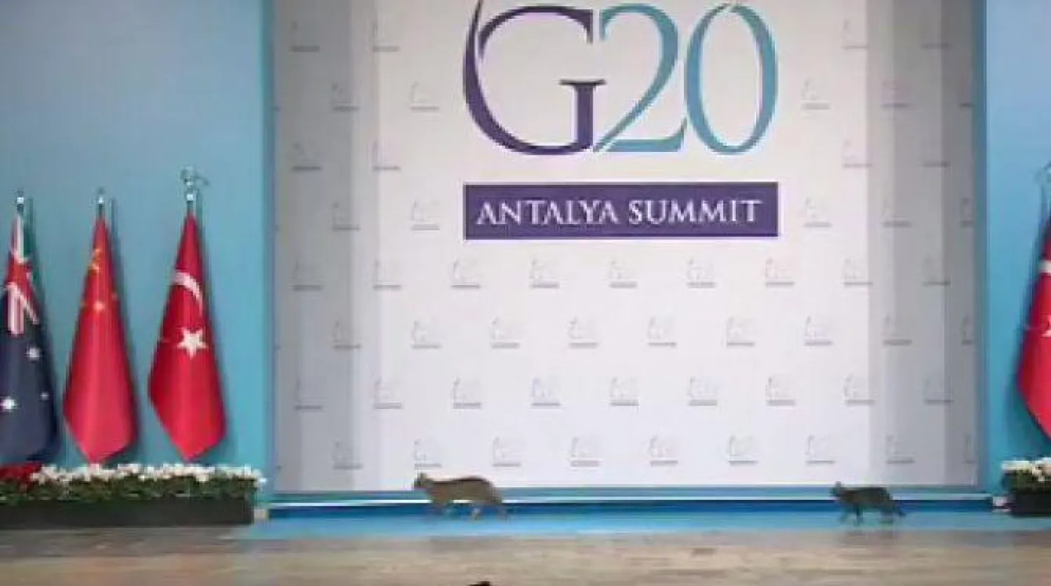 افتتاح قمة العشرين يشهد ضيوفا ودودين