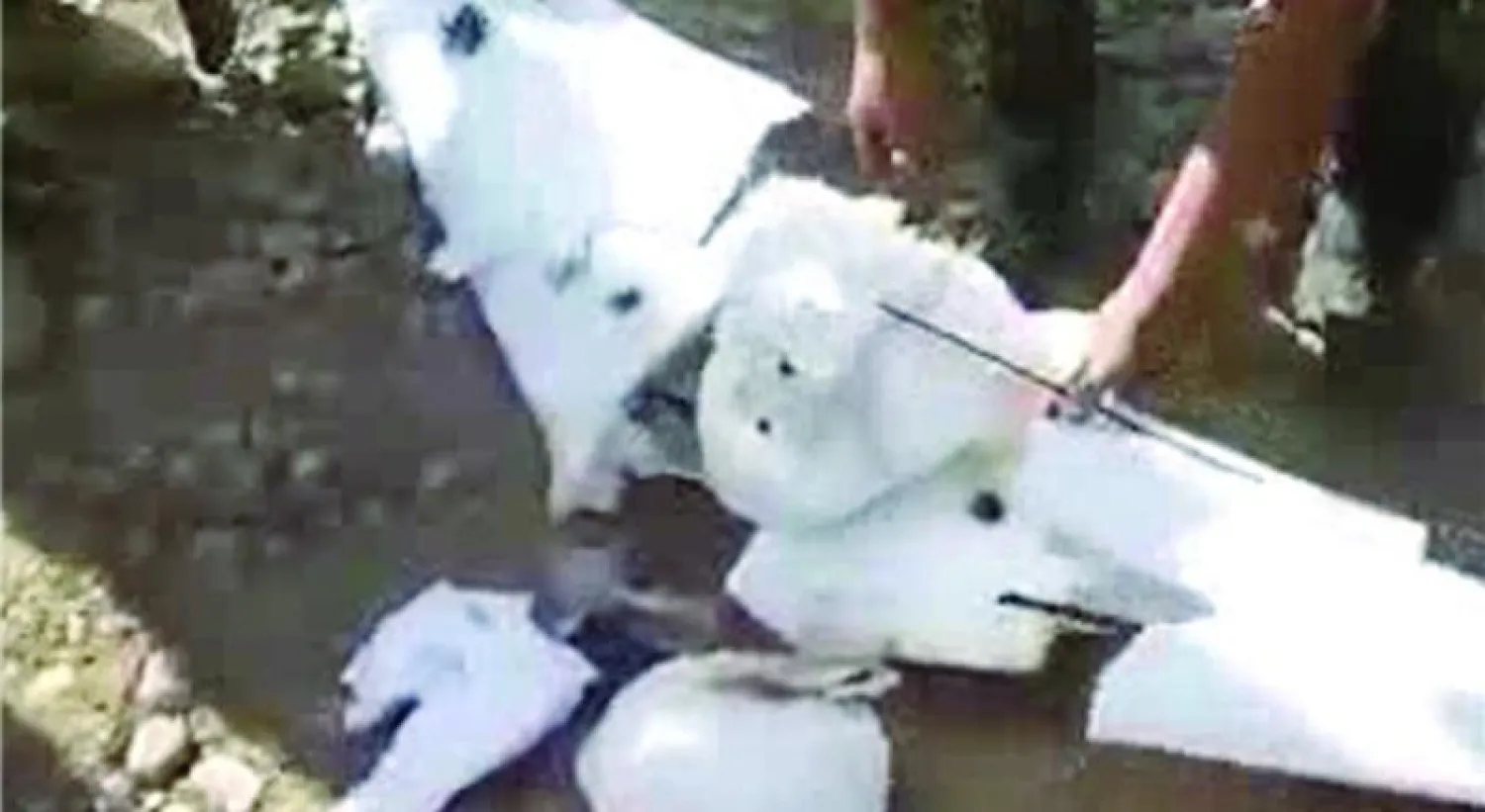 صورة من موقع وكالة فارس للأنباء الإيرانية لحطام الطائرة بدون طيار التي سقطت أمس في الأحواز