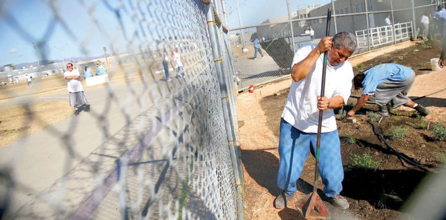 سجين بأحد سجون كاليفورنيا يقوم بأعمال الصيانة في حديقة الإصلاحية وسط تزايد الانتقادات لضباط السجون باستخدام القوة المفرطة (غيتي)