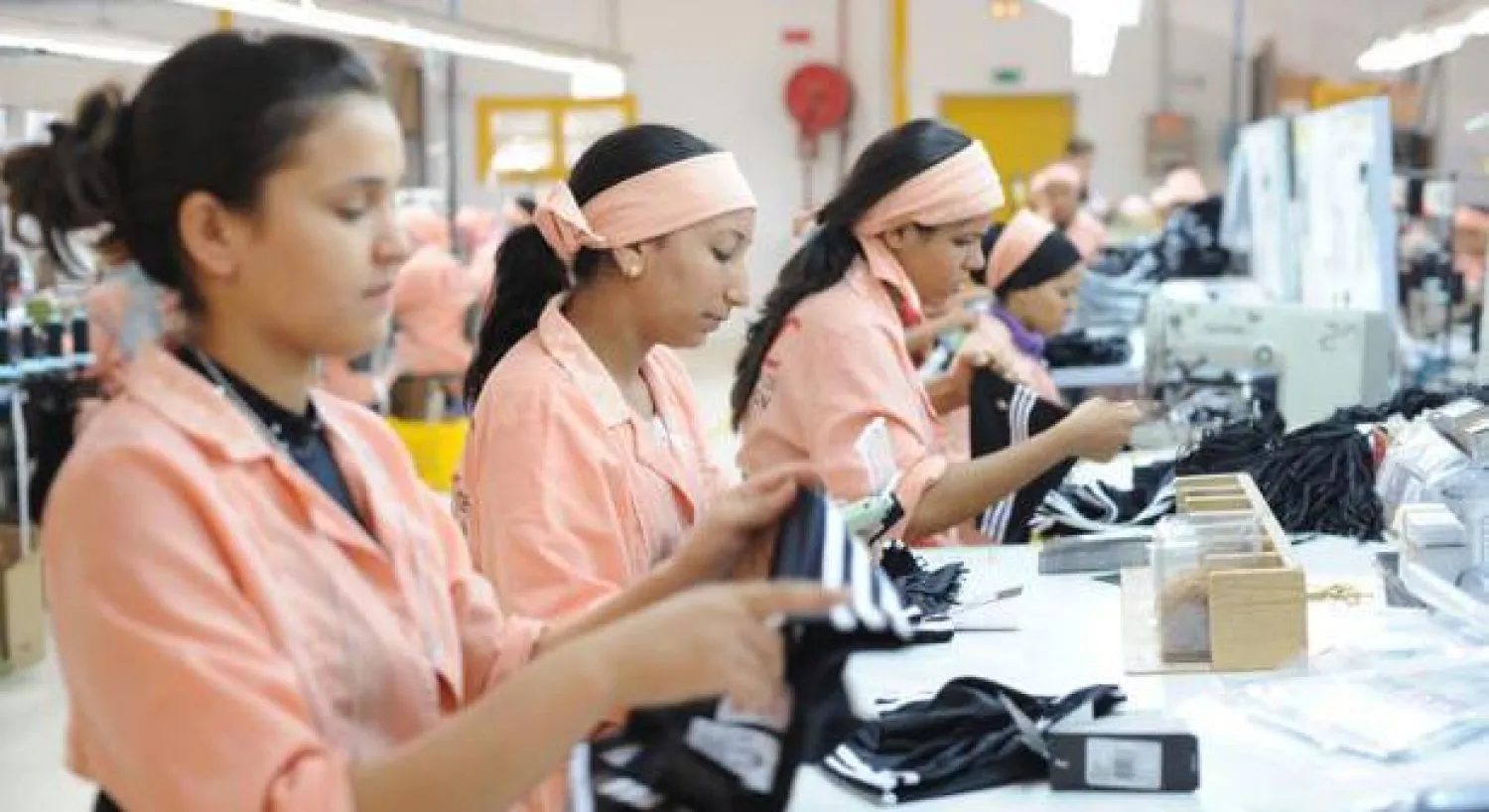 استطلاع: 51% من الشركات العائلية بألمانيا تتوقع نموها بـ10%