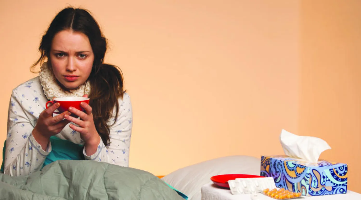 برنامج عالمي للوقاية من الإنفلونزا الموسمية