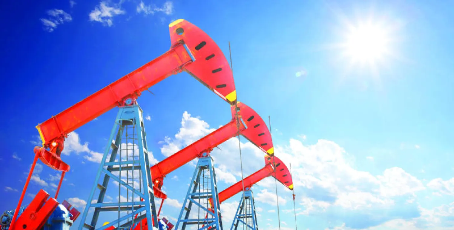 بوتفليقة يدعو إلى تنويع الاقتصاد مع انخفاض أسعار النفط