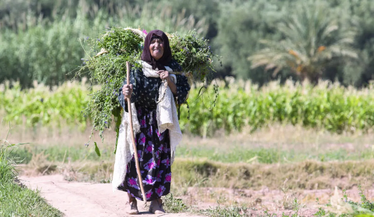 الجفاف يرهن أداء الحكومة المغربية في آخر عام من ولايتها