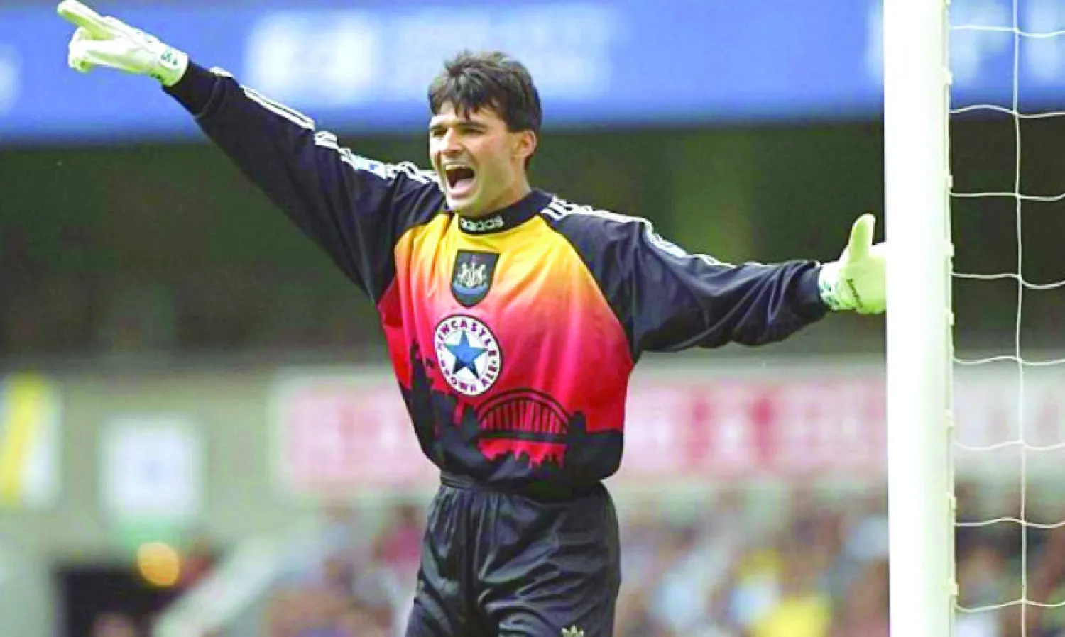 التشيكي سرنيتشيك حارس نيوكاسل السابق