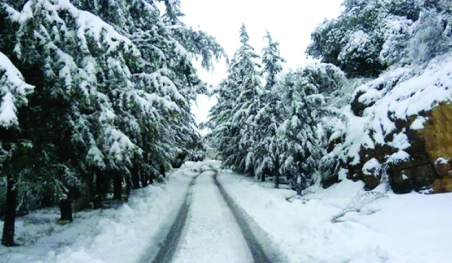 الثلوج غطت مناطق لبنانية وصل ارتفاعها إلى أكثر من 70 سنتيمترًا ({الشرق الأوسط})