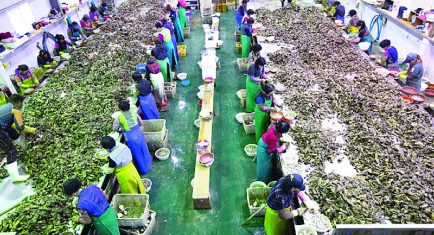 الاقتصاد الكوري الجنوبي يعتمد إلى حد كبير على التصدير (غيتي)