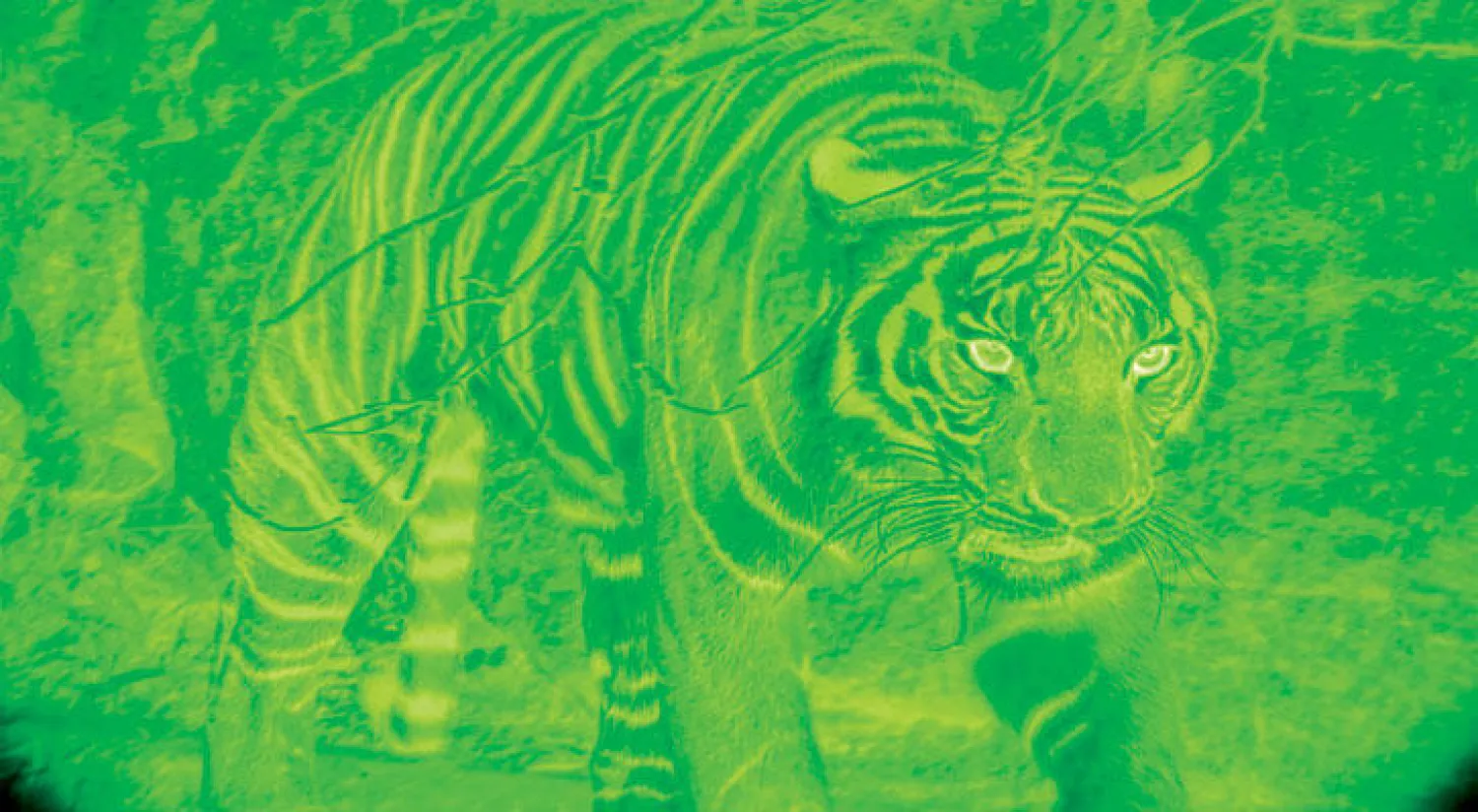 تطوير كاميرا لمراقبة الصيد في البرية