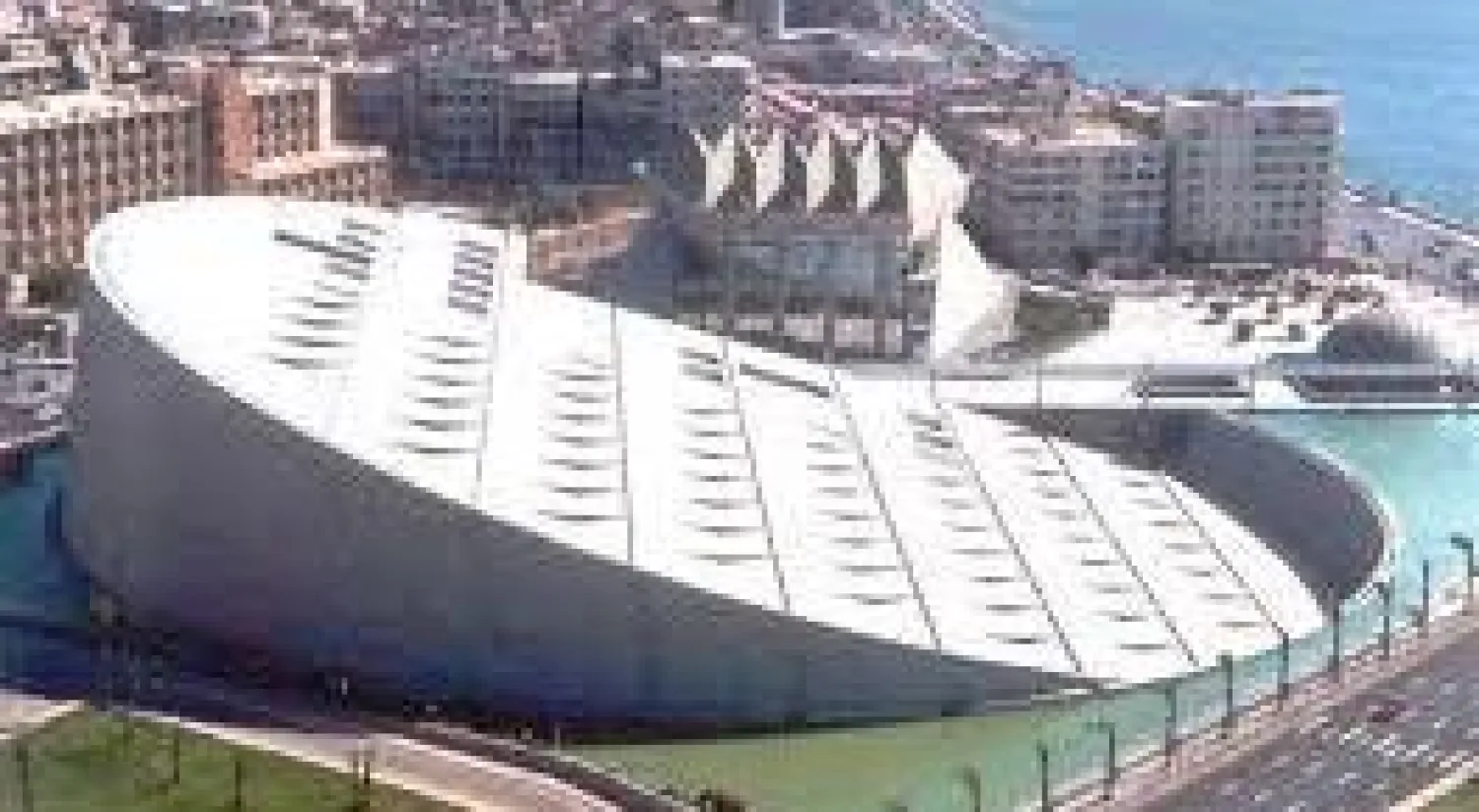 250 باحثًا يشاركون في مؤتمر مواجهة التطرف بمكتبة الإسكندرية