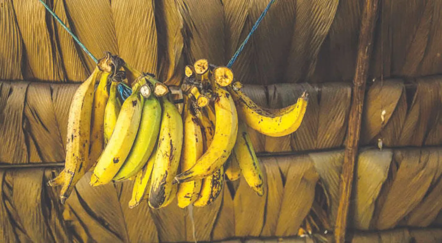 هذه هي ليست المرة الأولى التي تلجأ فيها شرطة الهند إلى وسائل مبتكرة لاسترجاع المسروقات (أ.ف.ب)