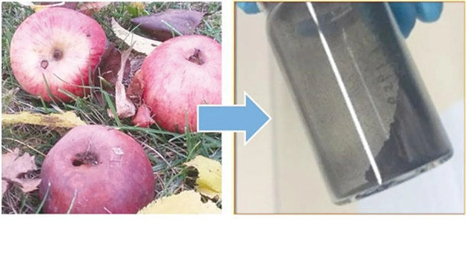 نفايات التفاح تتحول لطاقة