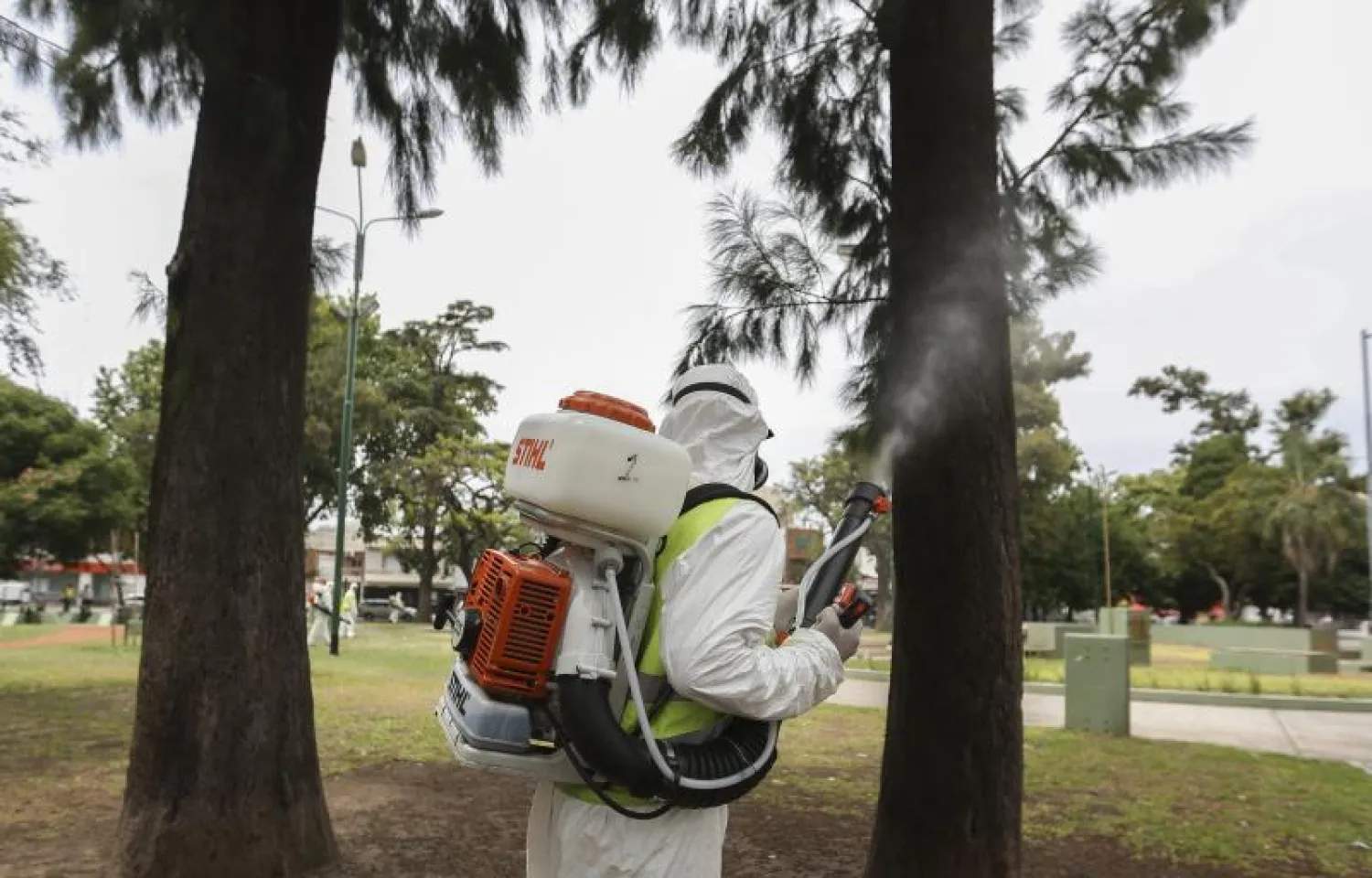 «الصحة» السعودية  تدعو الراغبين في السفر للدول الموبؤة بفيروس «زيكا» إتخاذ الاحتياطات الوقائية