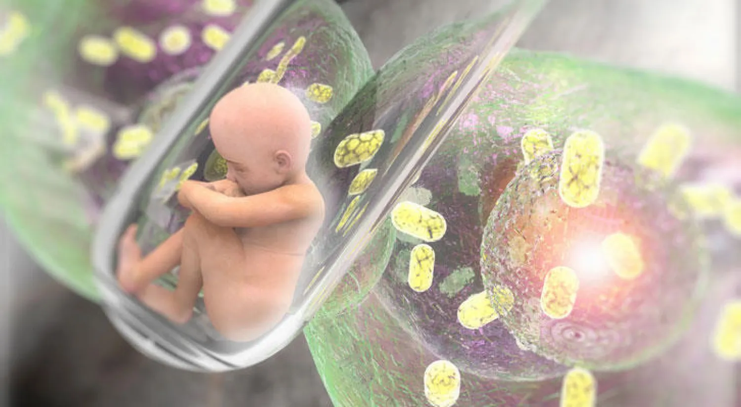 بعد 20 عامًا على ميلاد النعجة «دولّي».. هل اقترب عصر استنساخ البشر؟