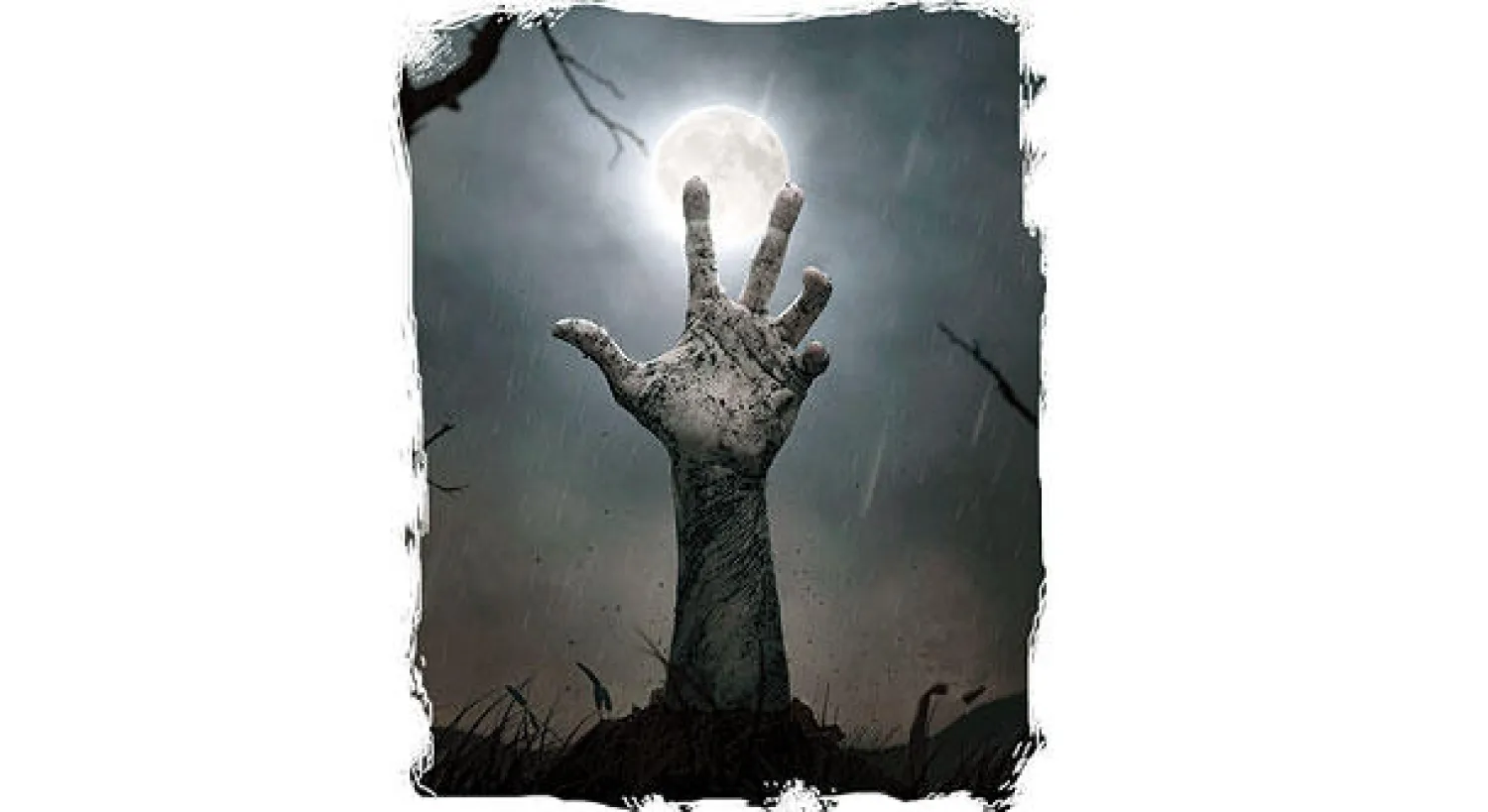 كيف خلق الإنسان المعنى وهو الكائن الفاني؟