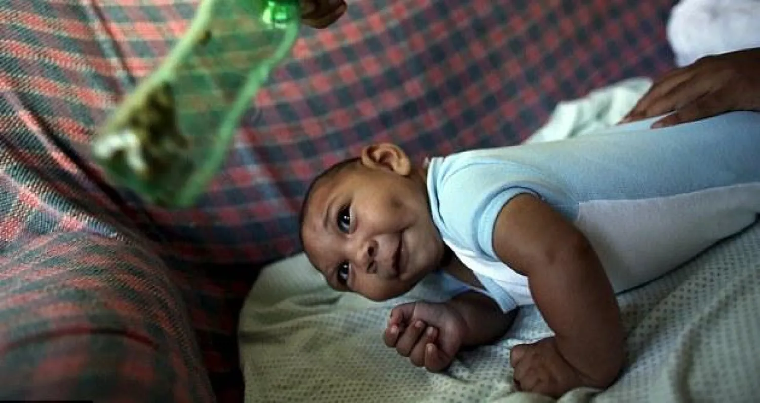 اتحاد الأسماك والحشرات المعدلة وراثيًا لمواجهة فيروس «زيكا»