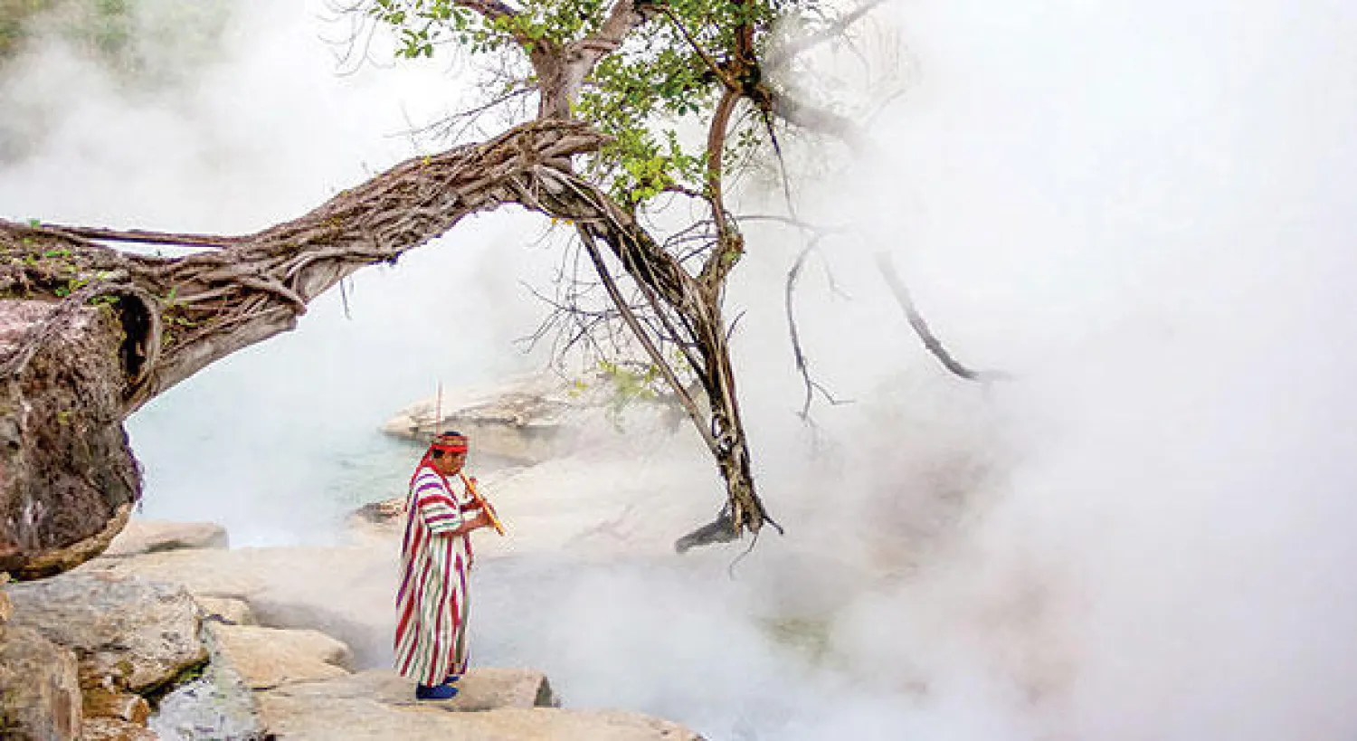 نهر في عمق غابات  الأمازون يغلي