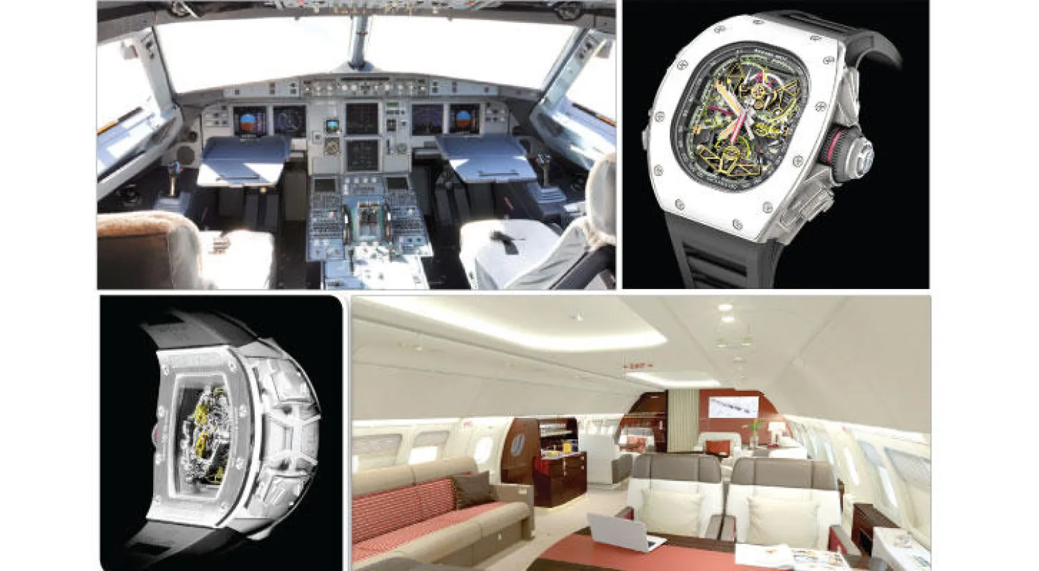 (RM 50-02 ACJ)  صُنعت من التيتانيوم والألمنيوم وهي خلطة تستخدمها شركة إيرباص لتصنيع ريش التوربينات النفاثة التي يجب أن تعمل بأمان ضمن درجات حرارة مرتفعة وضغط عال - تتميز طائرة «آي سي جي 318» بكل ما يحتاجه الرجل من رفاهية وفخامة وراحة - جانب  من مقصورة في طائرة «آي سي جي318»