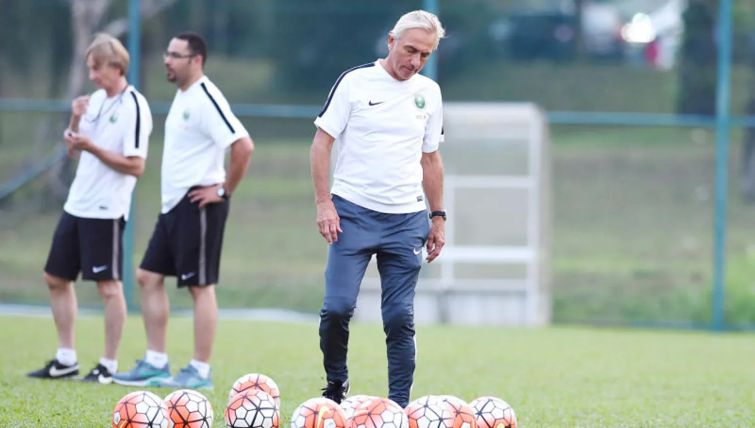 مارفيك («الشرق الأوسط»)