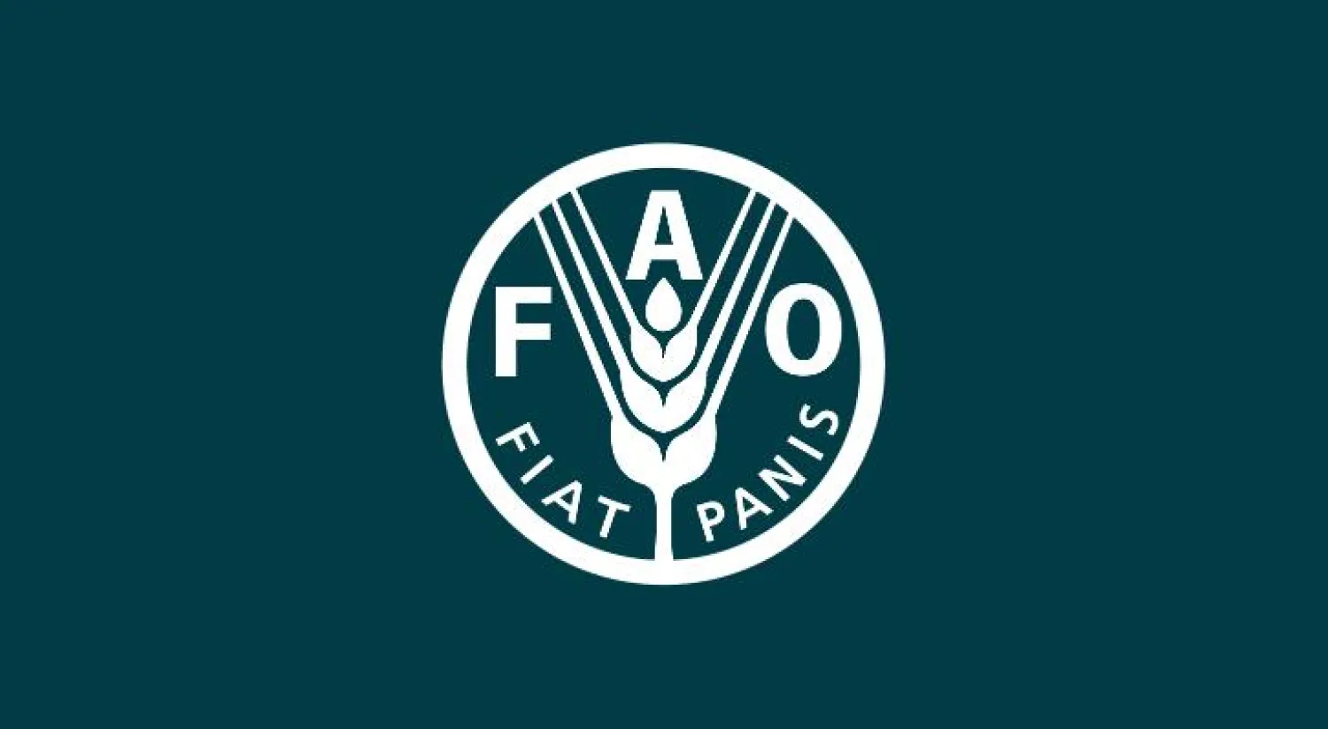 «الزراعة المصرية» تعمل مع «الفاو» على وضع تشريع لـ«أرجوت» القمح